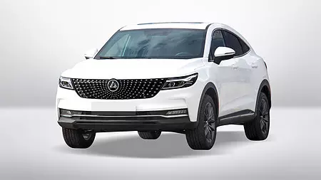 بررسی کامل آپشنهای دیگنیتی